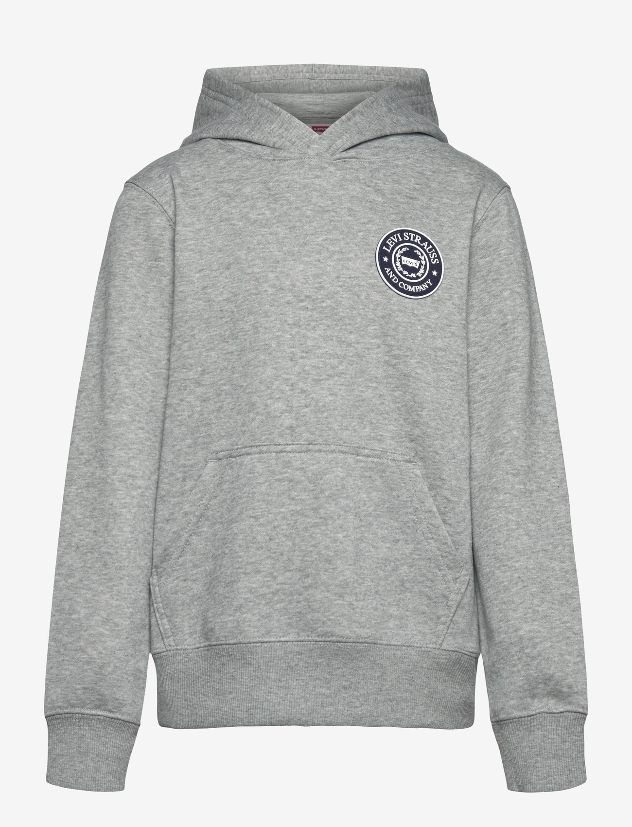 Levi's - Levi's® Modern Crest Pullover Hoodie - kapuutsiga dressipluusid - grey heather - 0
