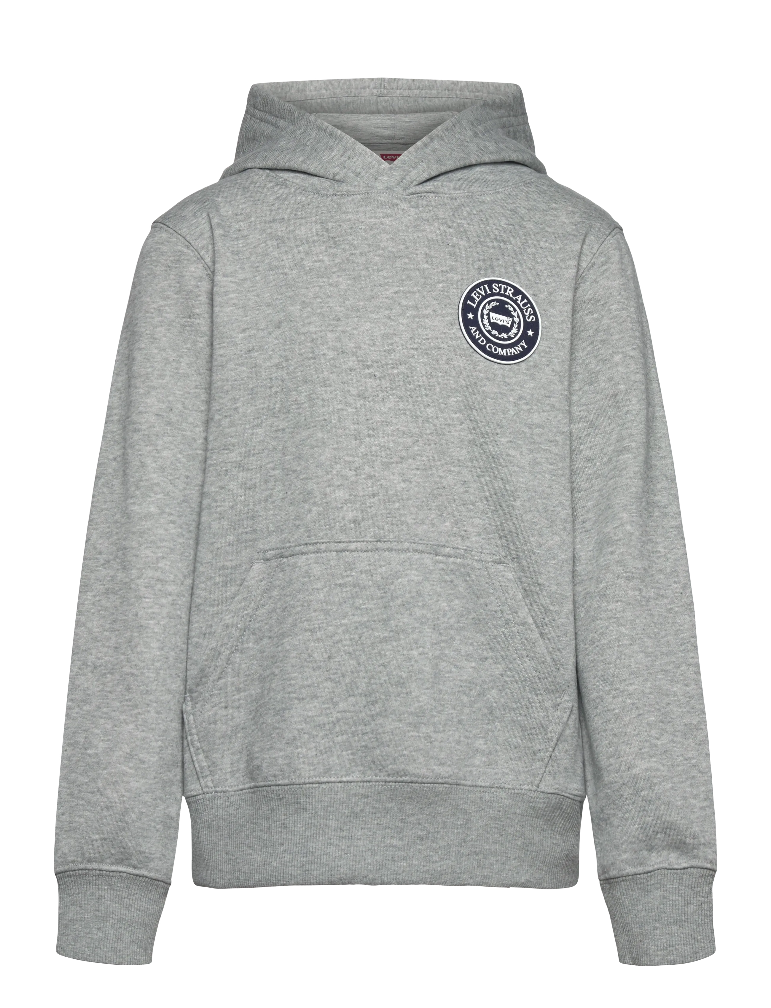 Levi's Levi's® Modern Crest Pullover Hoodie - Teens 140-176 - GREY HEATHER / grey