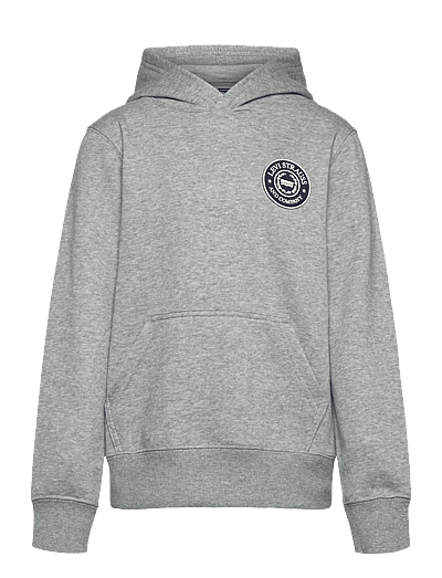 Levi's Levi's® Modern Crest Pullover Hoodie - Kapuzenpullover - GREY HEATHER / grey