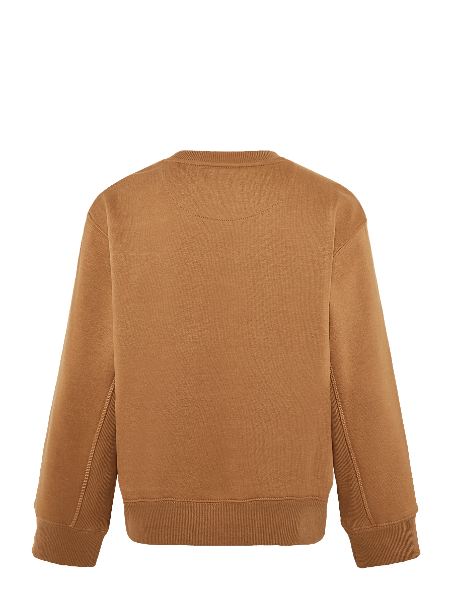 Levi's - FW-CREW - dressipluusid - foxtrot - 1