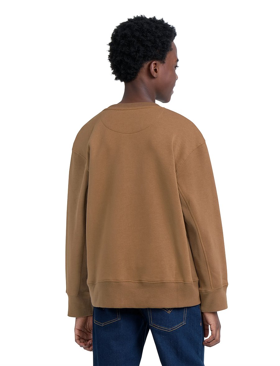 Levi's - FW-CREW - sweatshirts - foxtrot - 3