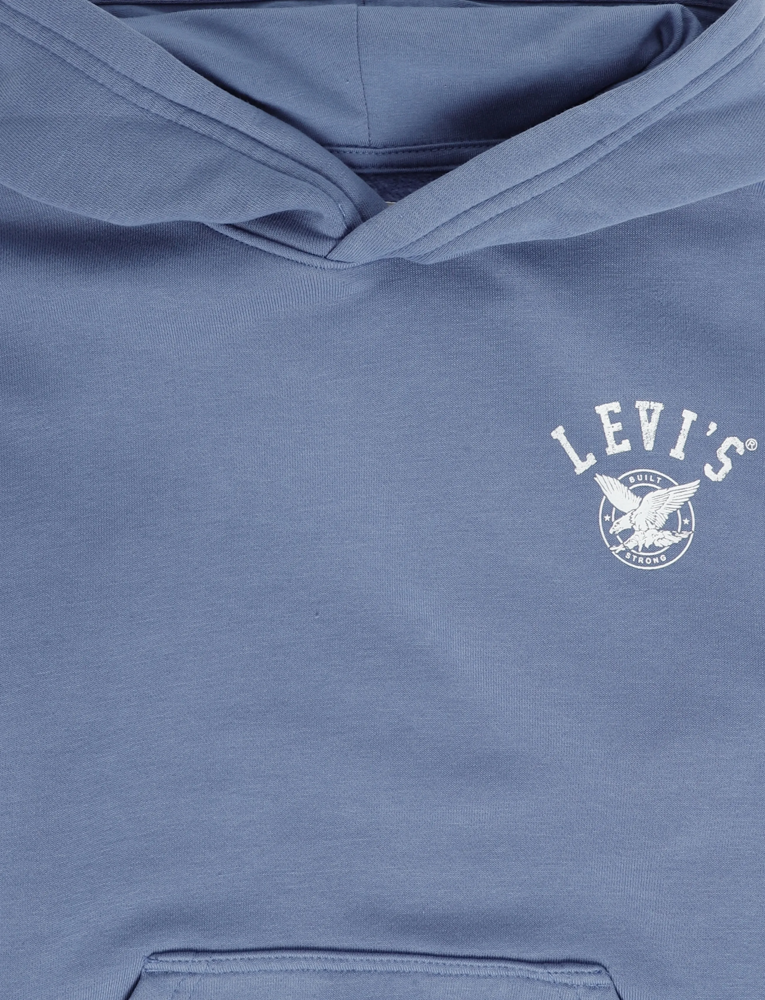 Levi's - PO-PULL-OVER HOODY - kapuutsiga pusad - moonlight blue - 2