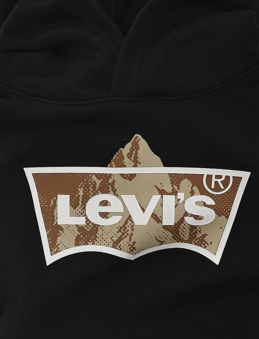 Levi's - PO-PULL-OVER HOODY - kapuutsiga pusad - jet black - 2