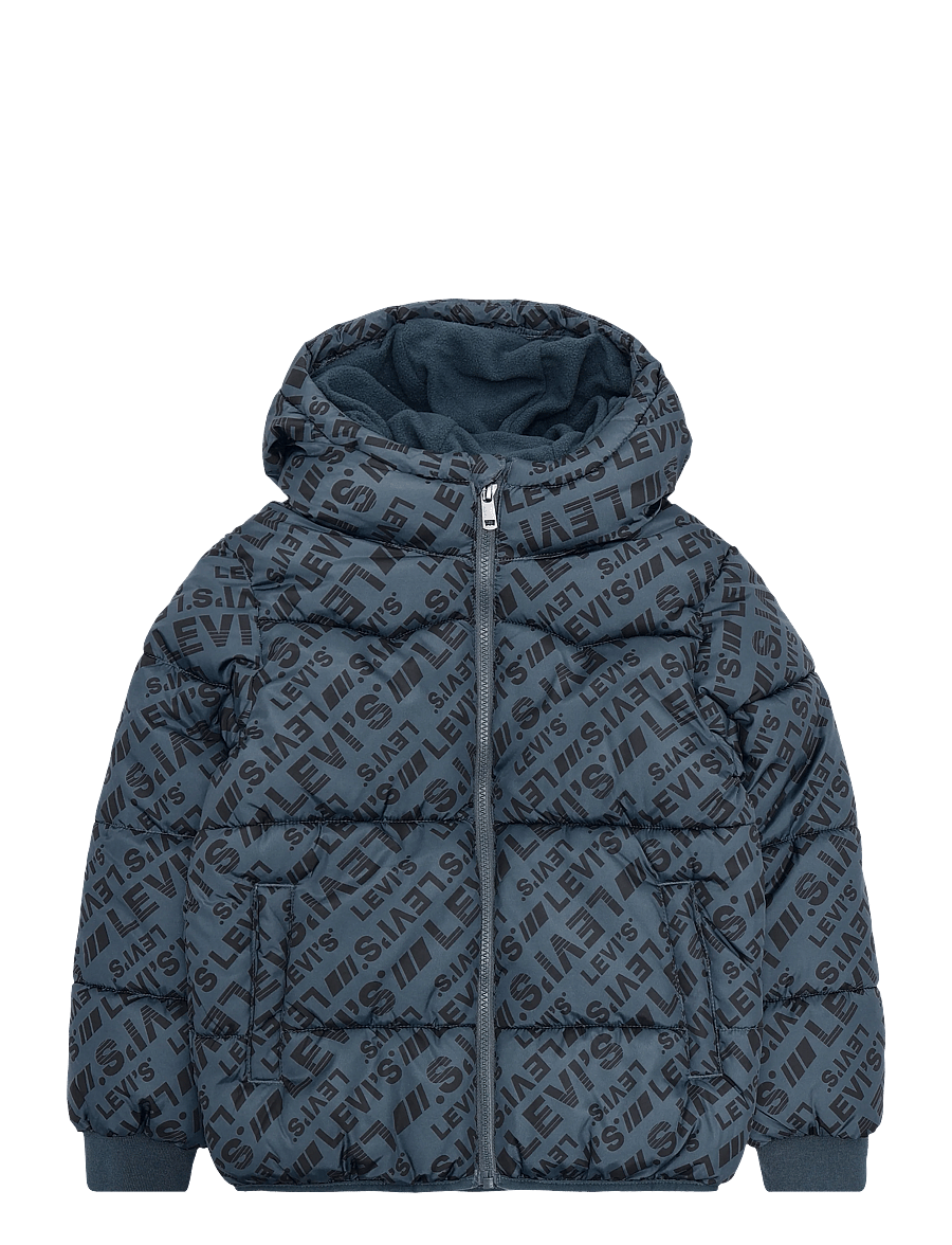 Levi's - HO-HEAVY WEIGHT OUTERWEAR - winterjacke - dark slate - 0