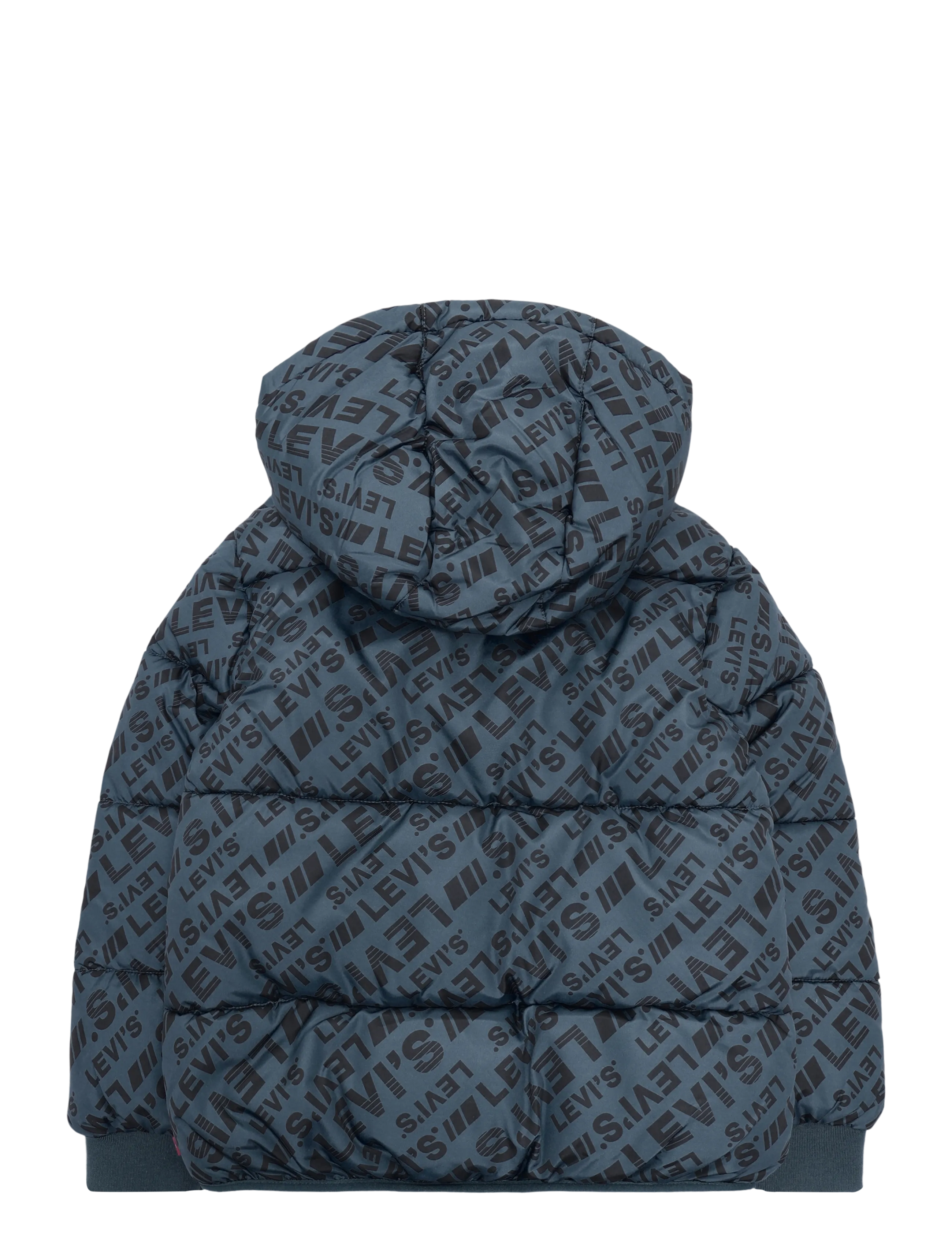 Levi's - HO-HEAVY WEIGHT OUTERWEAR - winterjacke - dark slate - 1