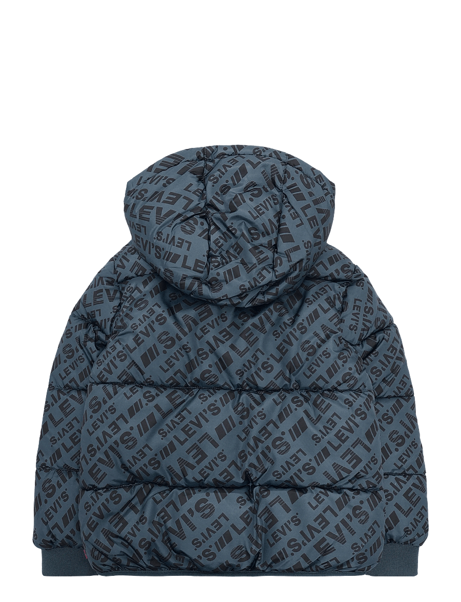 Levi's - HO-HEAVY WEIGHT OUTERWEAR - winterjacke - dark slate - 1