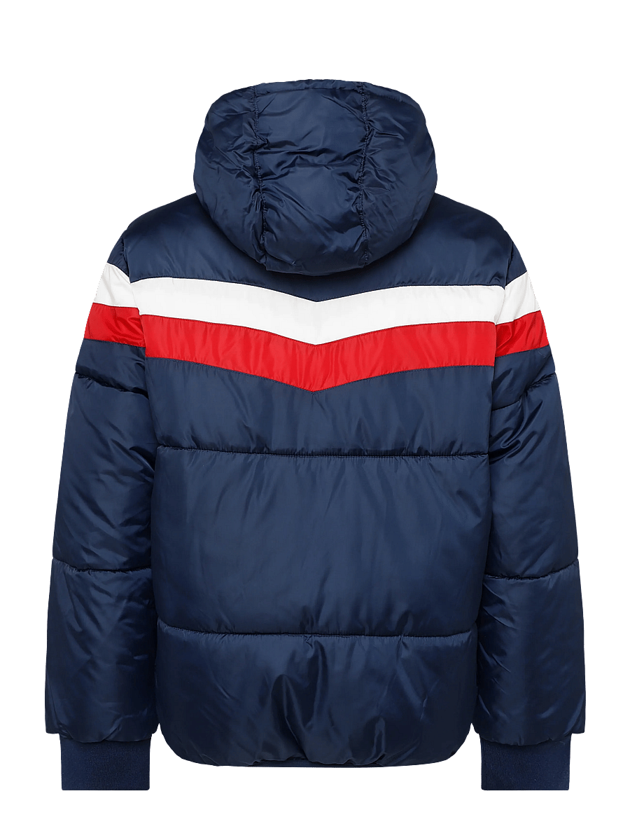 Levi's - HO-HEAVY WEIGHT OUTERWEAR - winterjacke - naval academy - 1