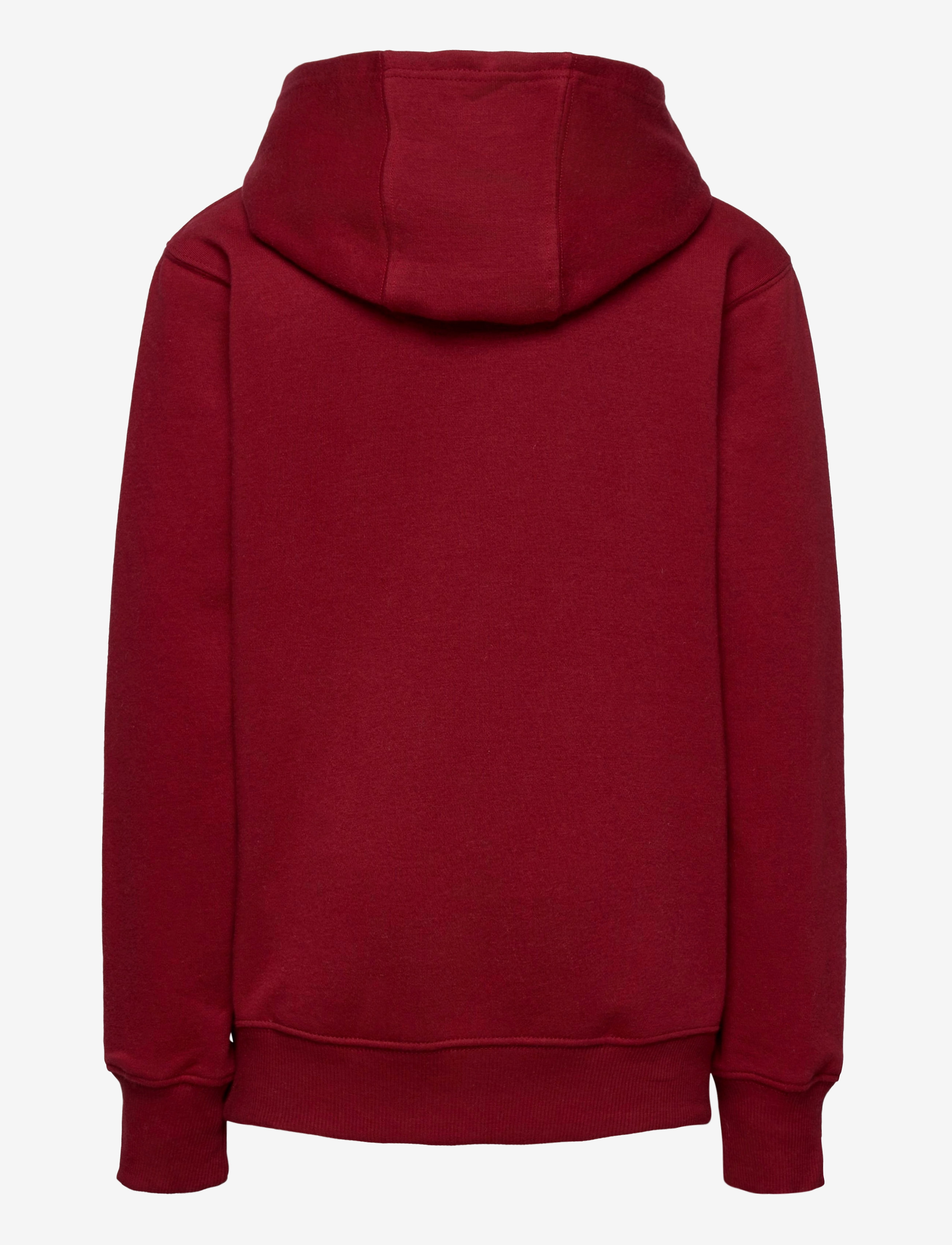 Levi's - LVB MULTICOLOR LOGO PO HOODIE - biking red - 1