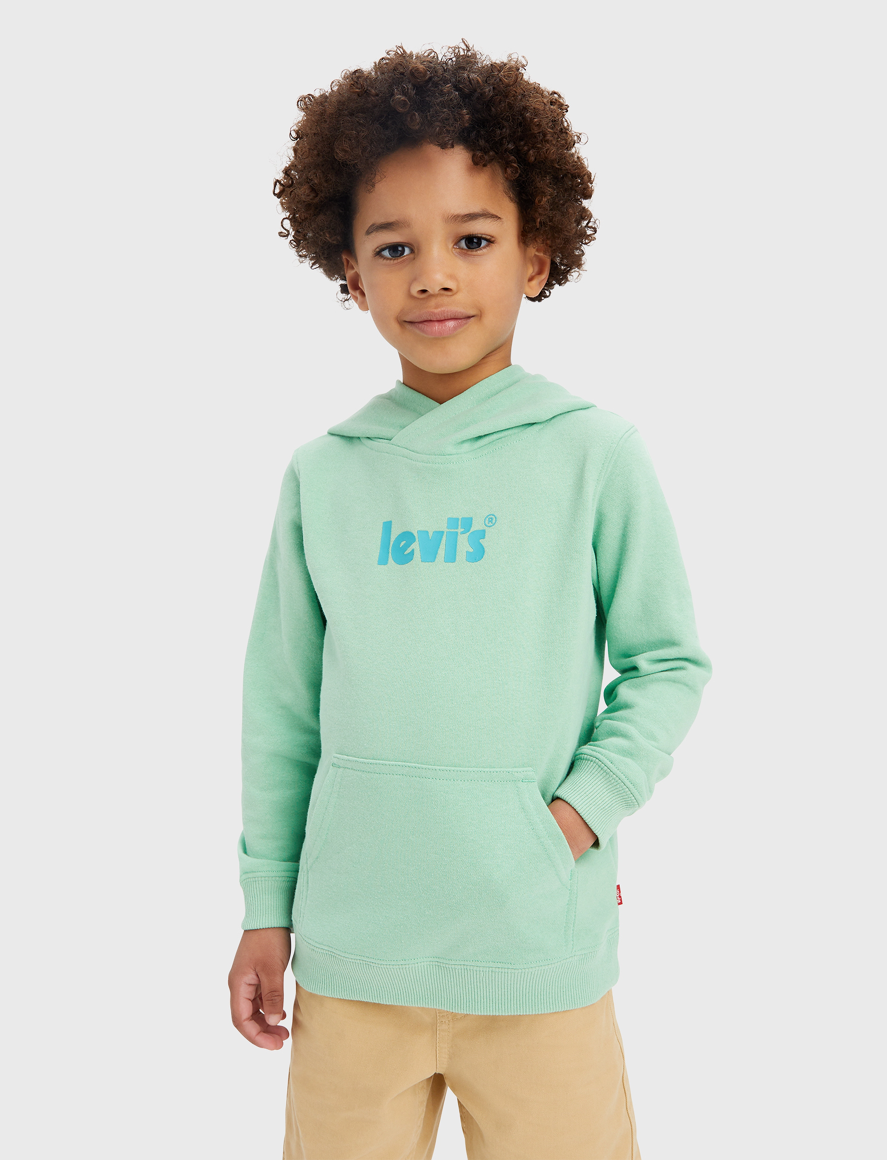 Levi's - Levi's Poster Logo Pullover Hoodie - green - 2