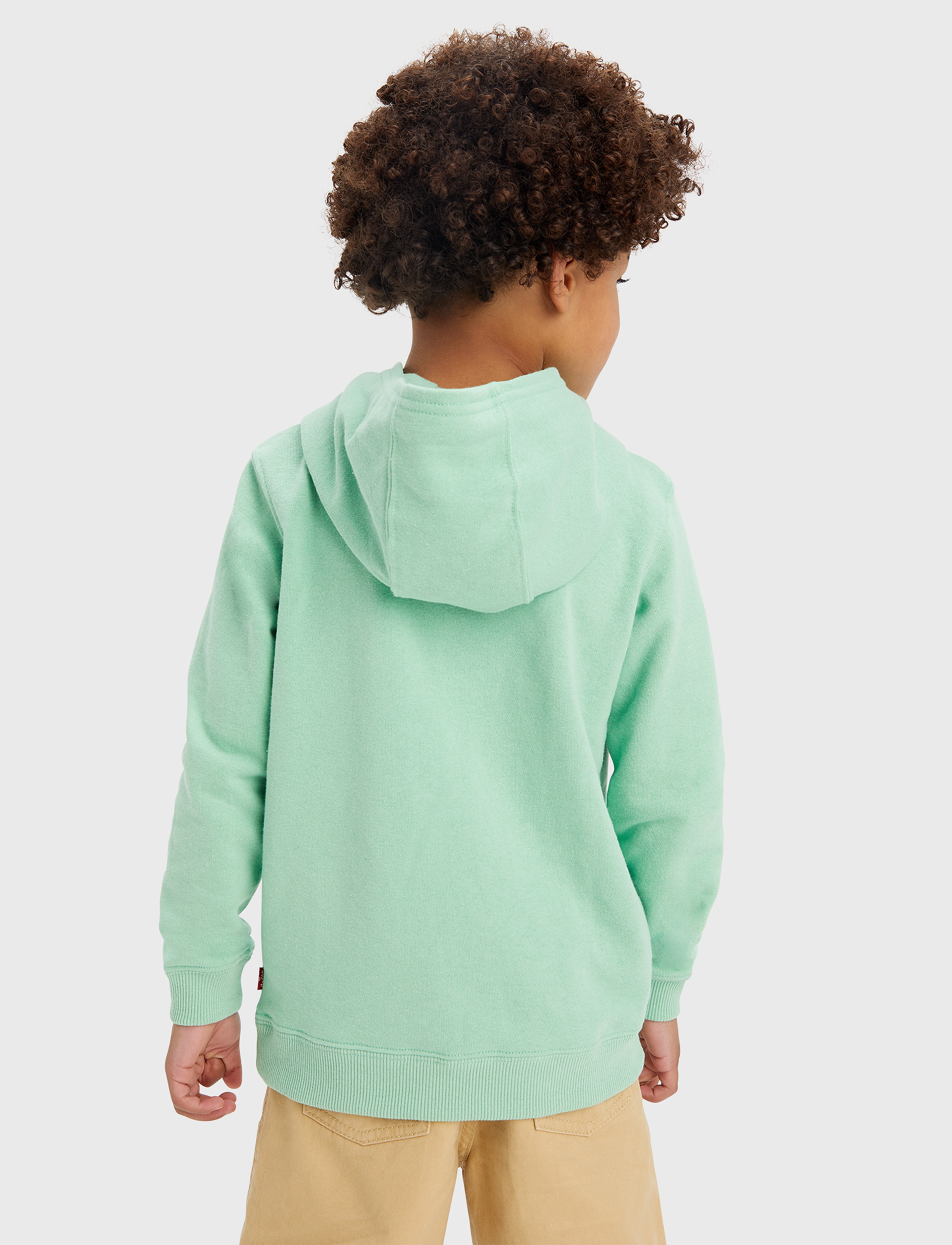 Levi's - Levi's Poster Logo Pullover Hoodie - green - 3