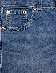 Levi's - Levi's® Skate Shorts - jeansshorts - blue - 2