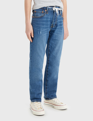 Levi's - Levi's® 501® Original Jeans - regular jeans - blue - 4