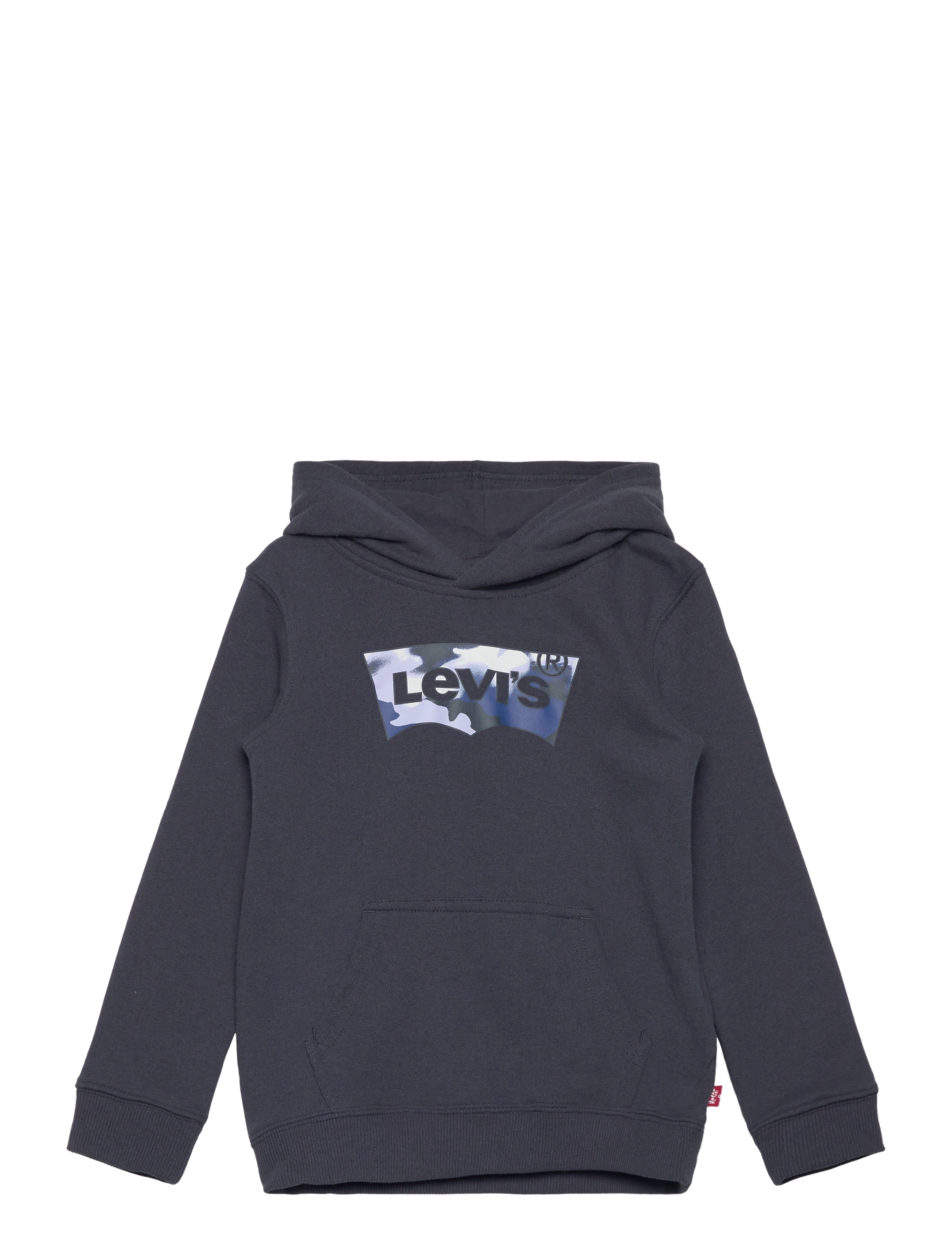 LEVI'S Levi's Batwing Fill Hoodie Grau - 104 - Kinder