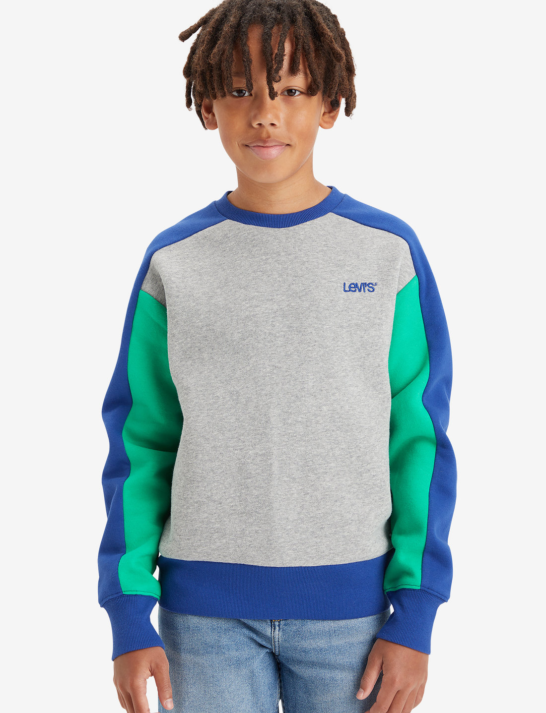 Levi's colorblock sweatshirt best sale