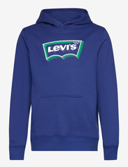 Levi's® Batwing Fill Pullover Hoodie - BLUE