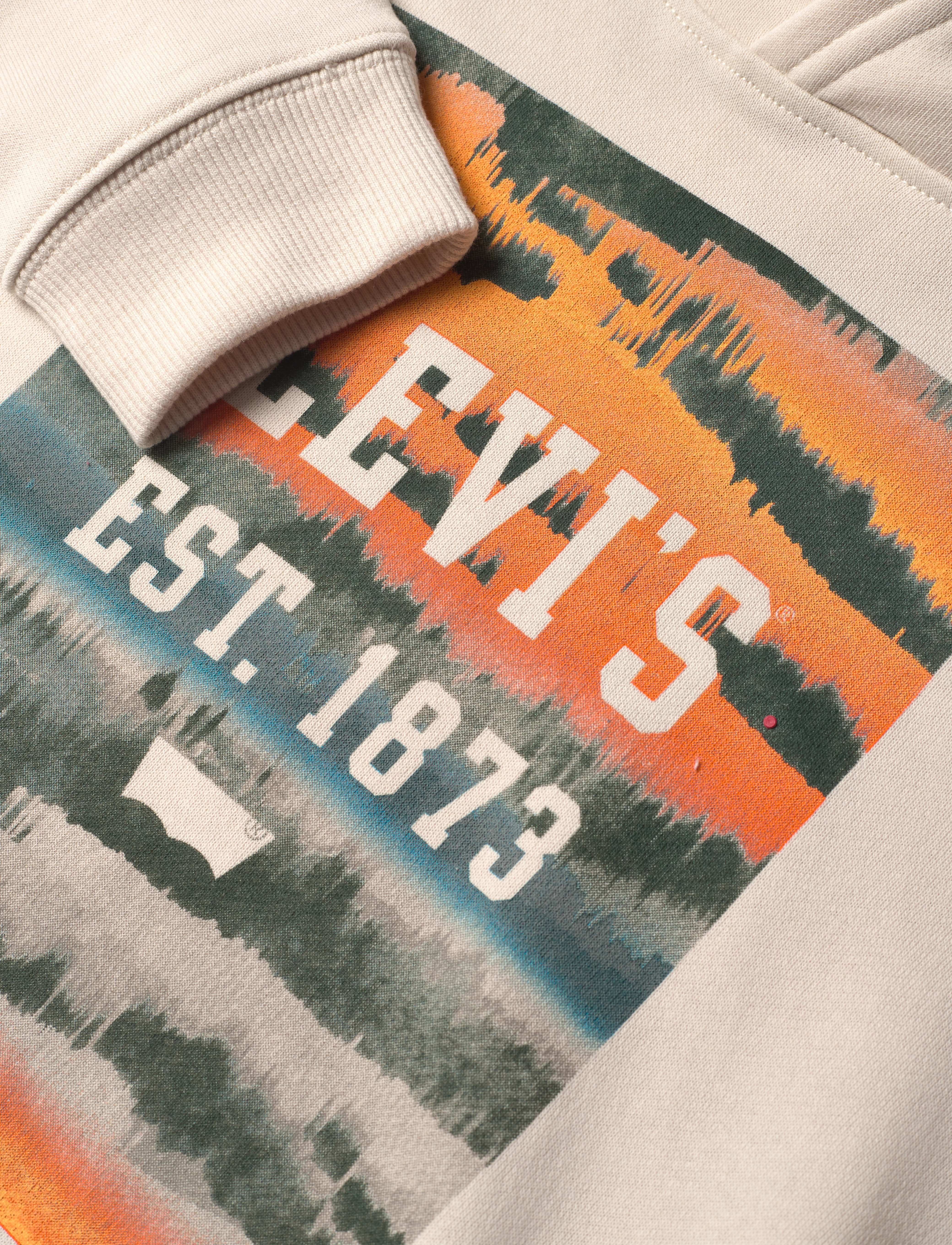 Levi's - LVB LANDSCAPE BOX HOODIE / LVB LANDSCAPE BOX HOODIE - tan - 2