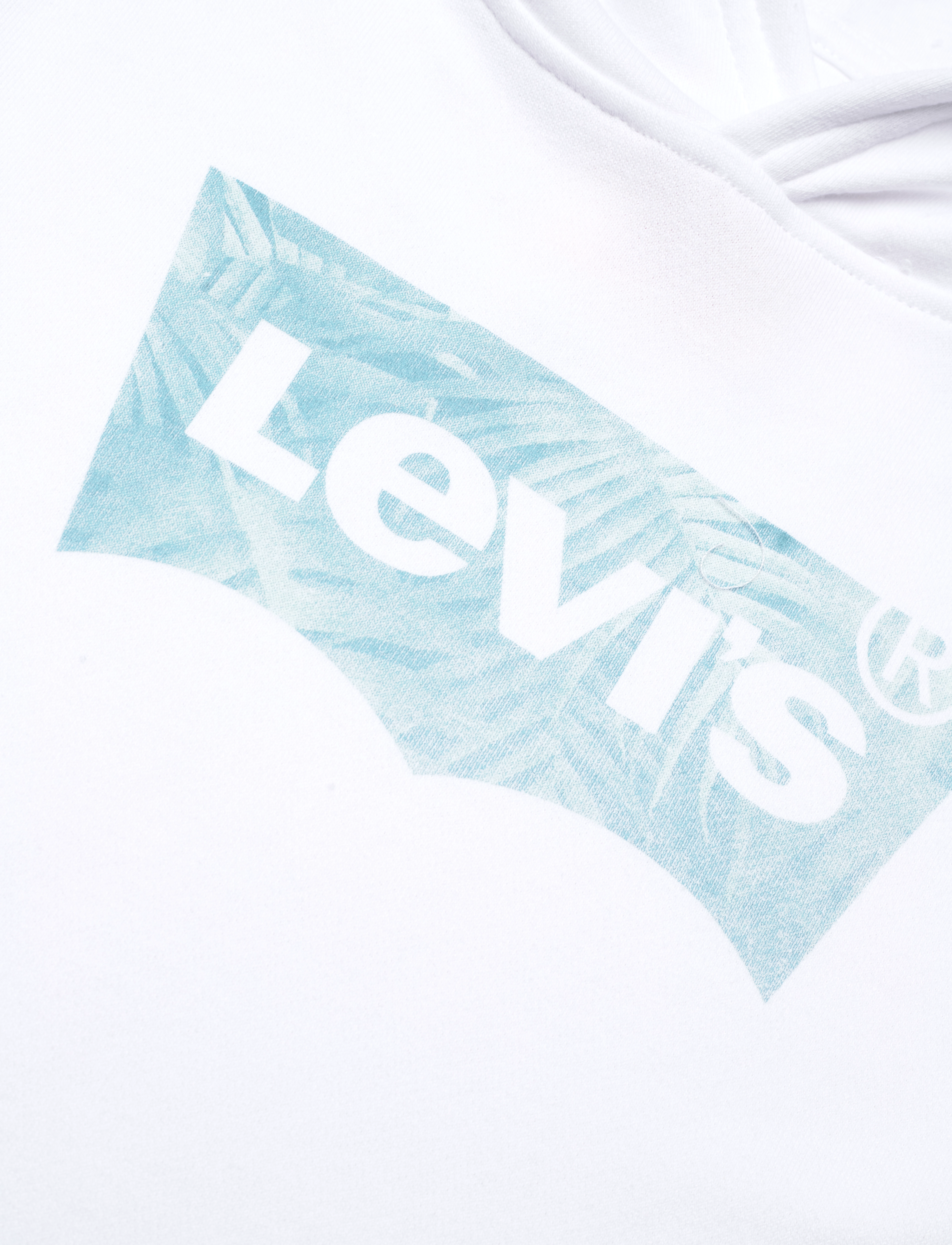 Levi's - LVB PALM BATWING FILL HOODIE / LVB PALM BATWING FILL HOODIE - white - 2