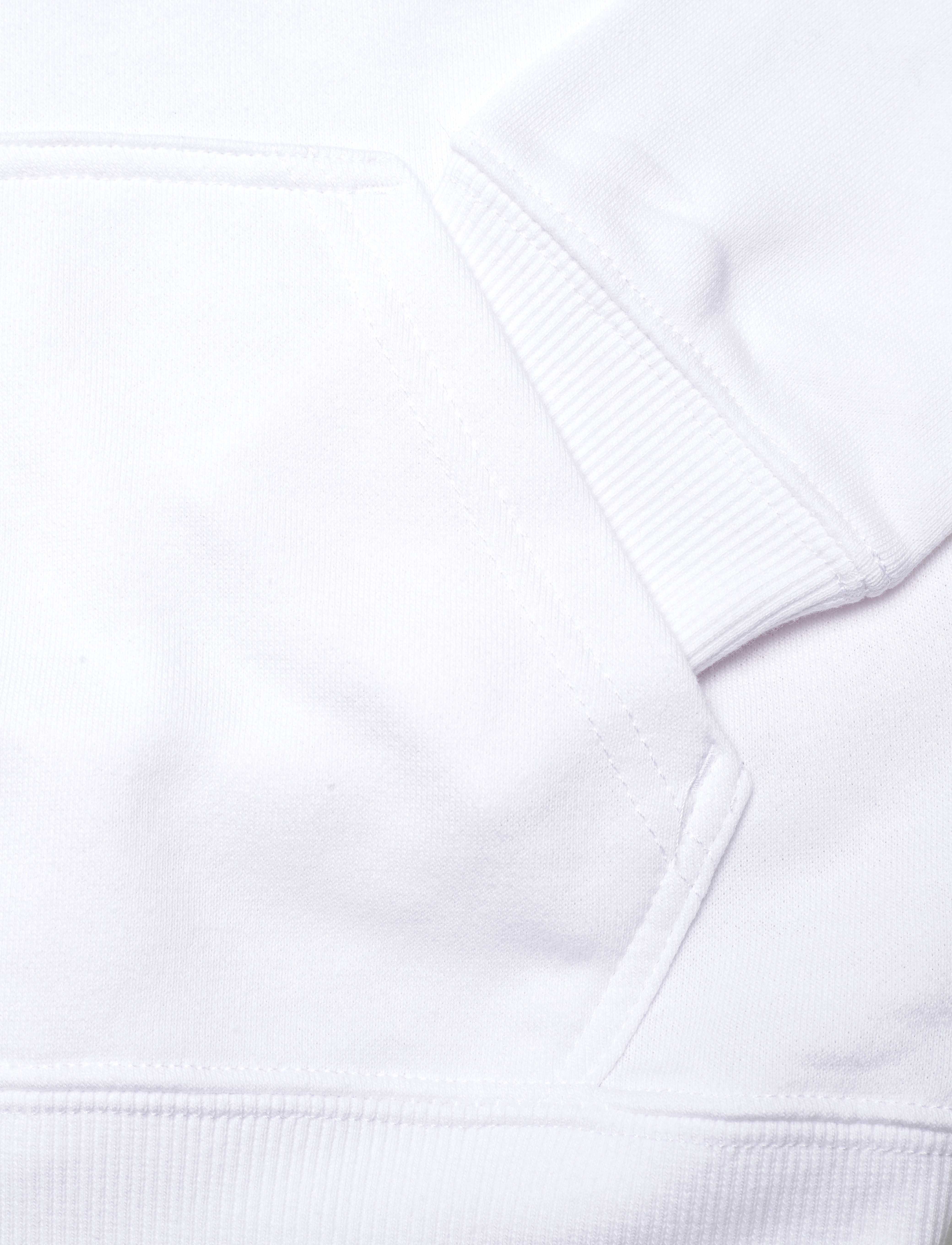 Levi's - LVB PALM BATWING FILL HOODIE / LVB PALM BATWING FILL HOODIE - white - 3
