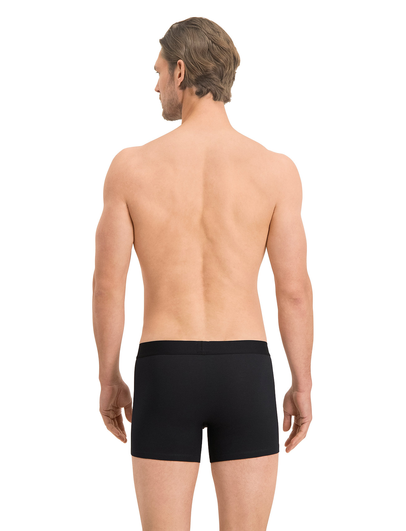 Levi´s - LEVIS MEN GIFTBOX YD MULTICOLOR STR - black combo - 4