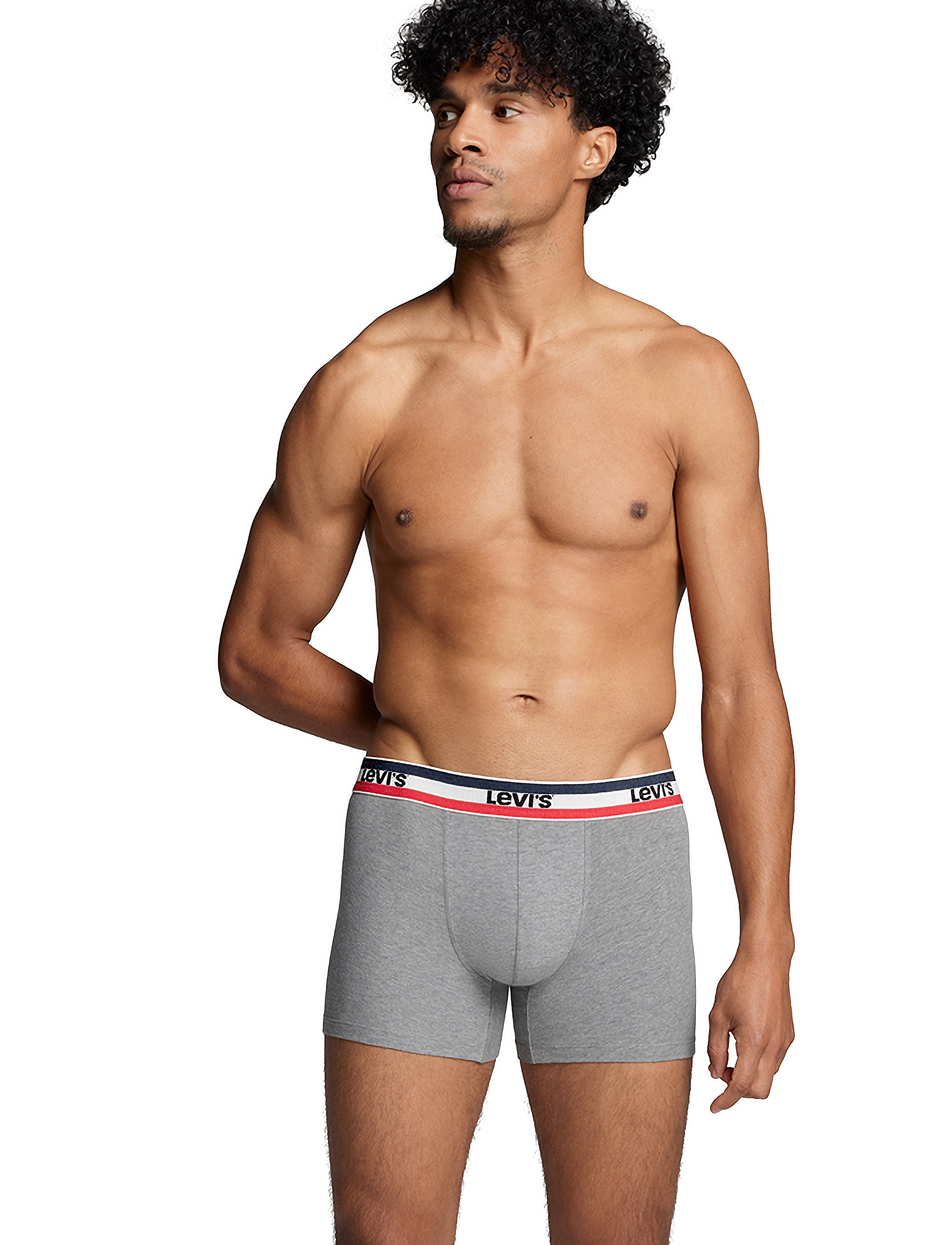 Levi's® - LEVIS MEN SPW LOGO BOXER BRIEF ORG 2P - unterhosen im multipack - dress blues - 2