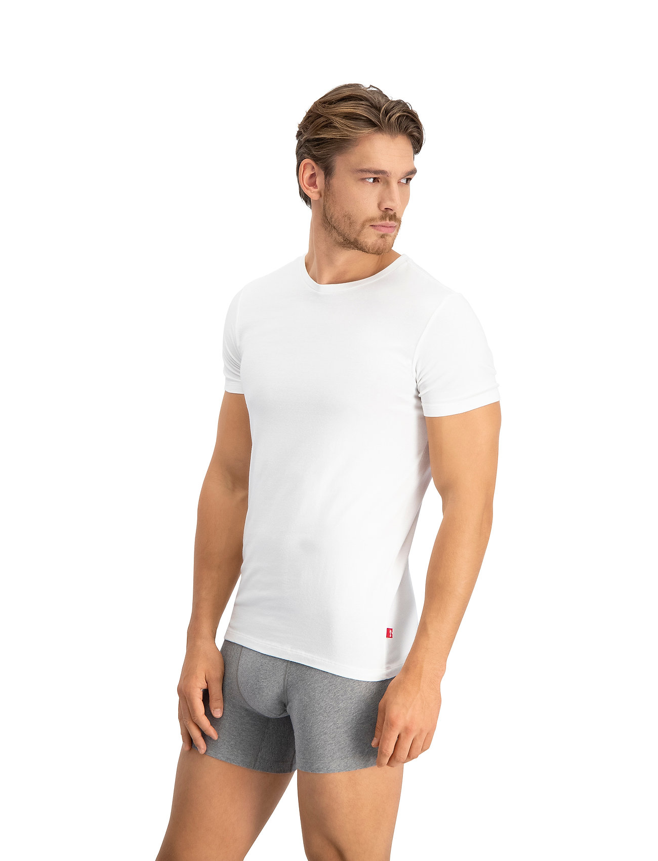 Levi's® - LEVIS MEN SOLID CREW 2P - mažiausios kainos - white - 3