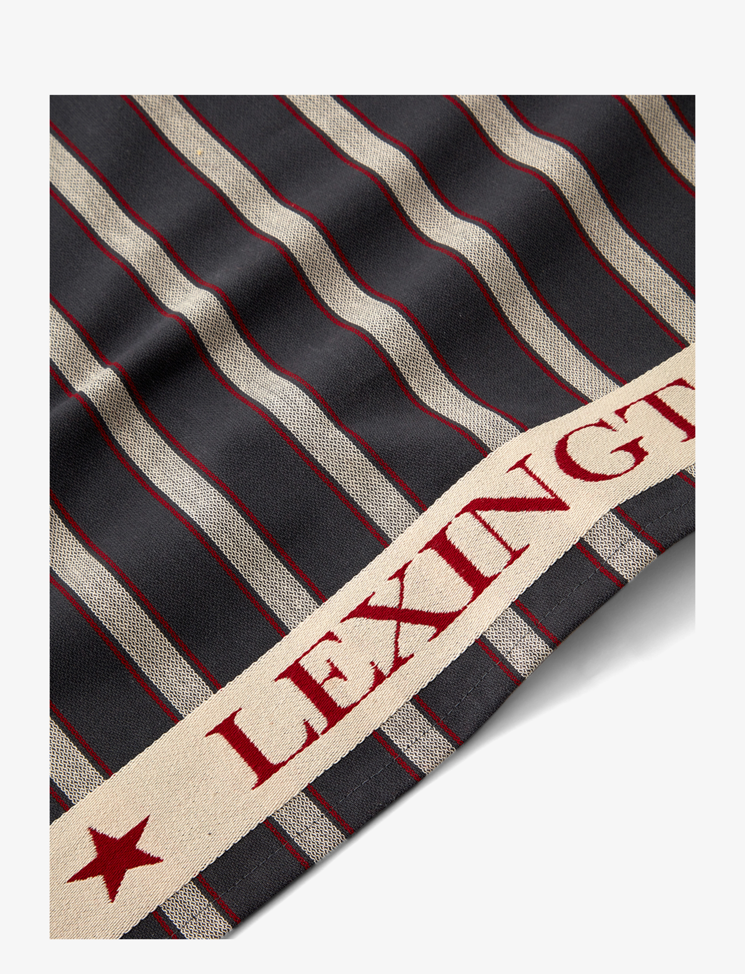 Lexington Home - Organic Cotton Oxford Kitchen Towel - dk gray/beige/red - 3