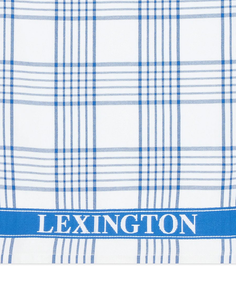 Lexington Home - Checked Org Cotton Terry Kitchen Towel - küchenhandtücher - white/blue - 3