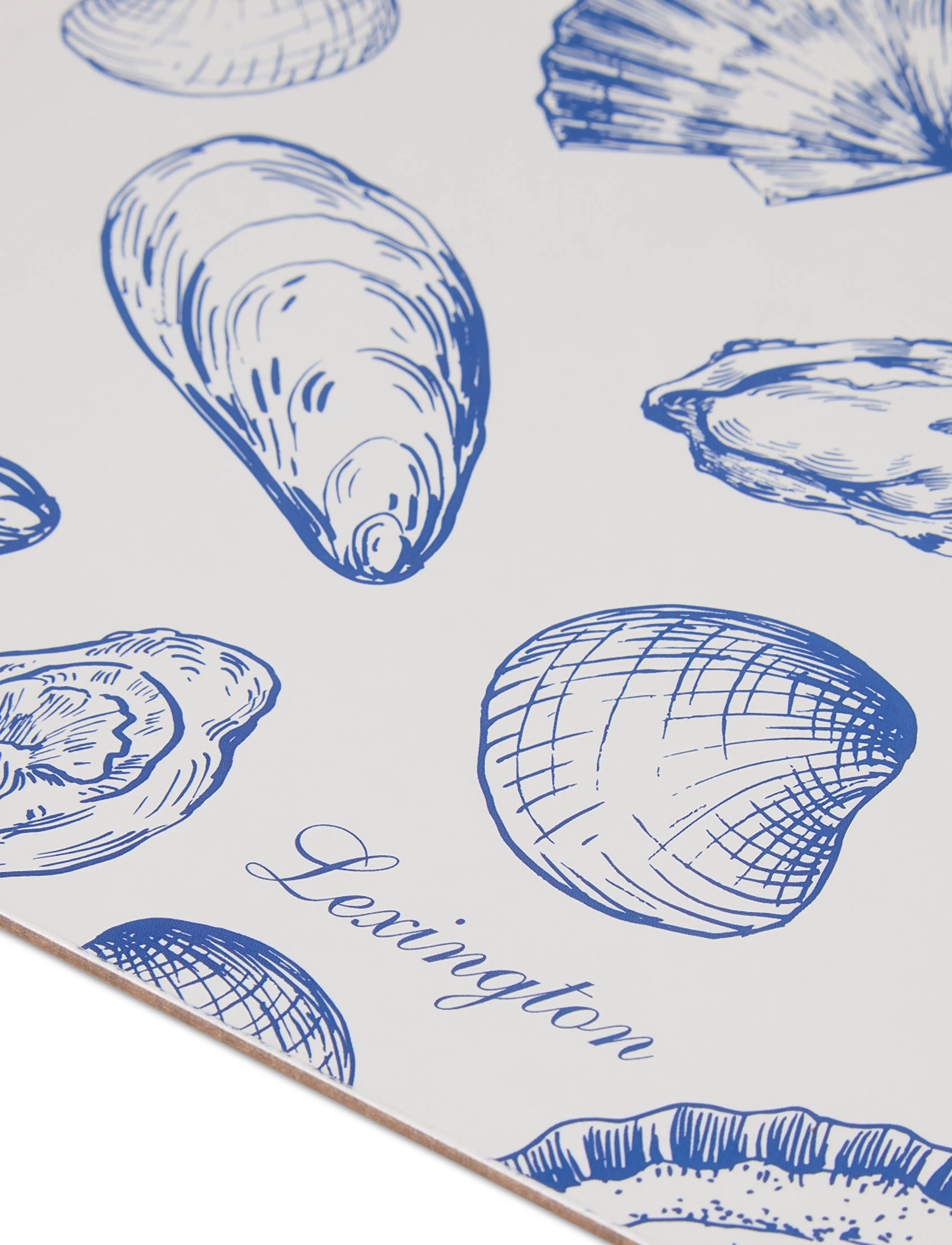 Lexington Home - Laminated Double-Sided Placemat (set of 2) - blue/white - 2