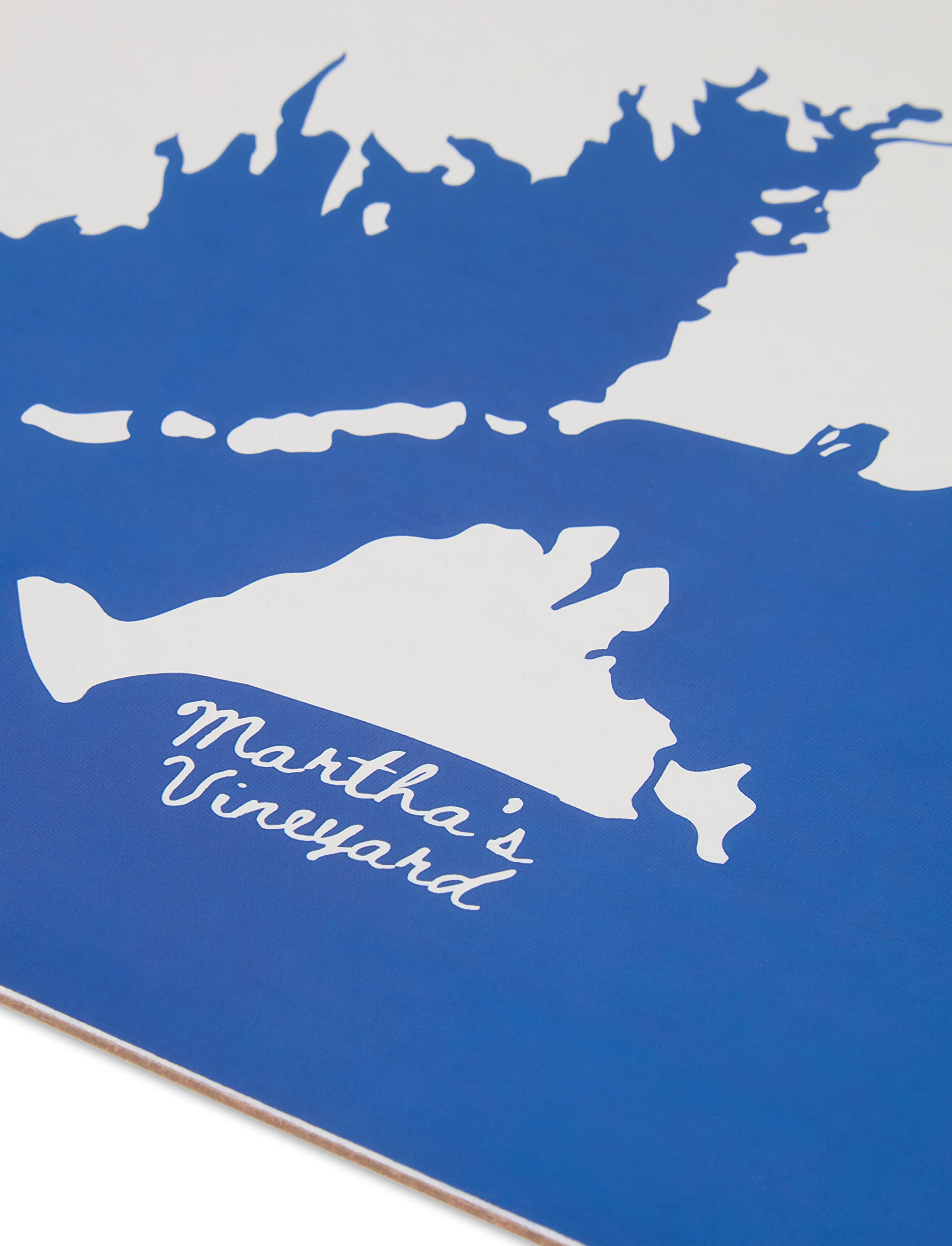 Lexington Home - Laminated Double-Sided Placemat (set of 2) - blue/white - 3