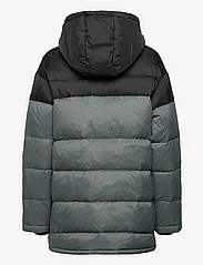 Lexington Clothing - Alba Down Parka - winter jacket - black/blue - 1