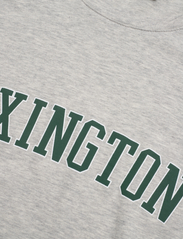 Lexington Clothing - Mac Casual Print Tee - kortärmade t-shirts - gray melange - 2