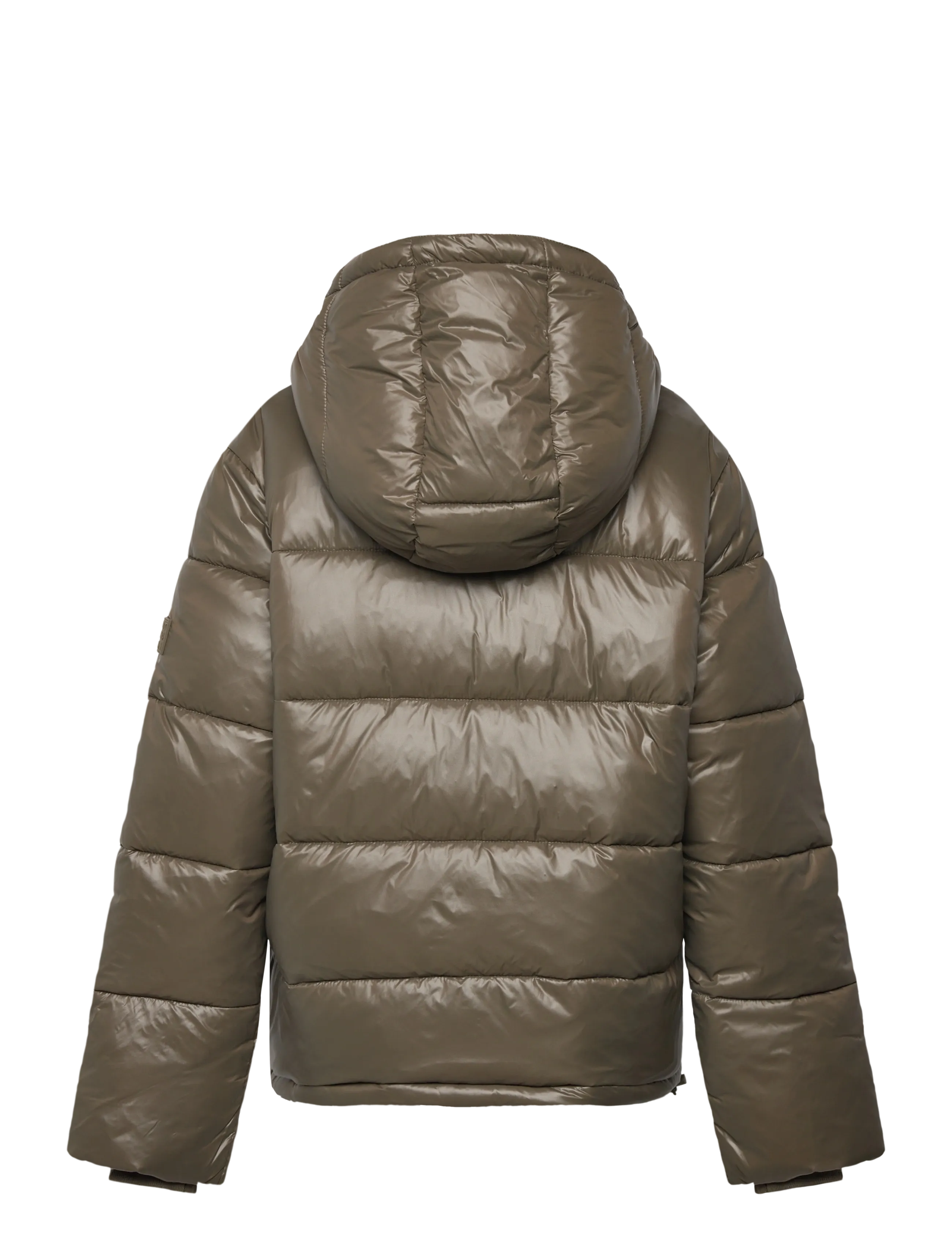Lexington Clothing - Milo Down Puffer Jacket - winterjacke - green - 1