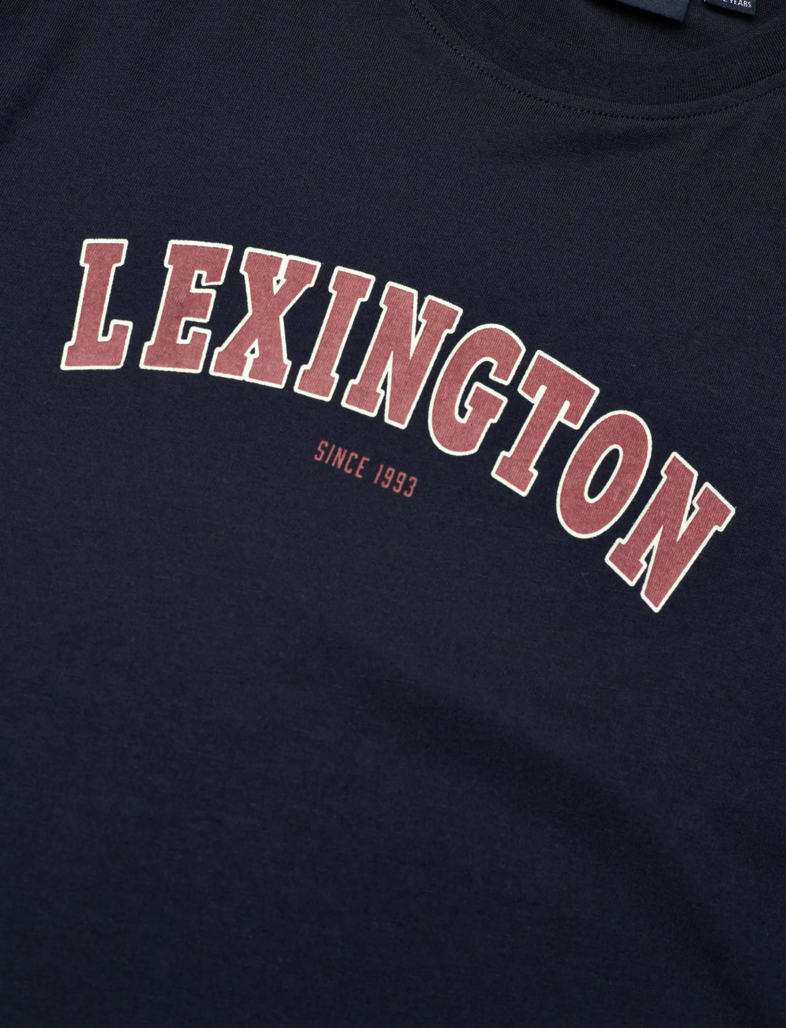Lexington Clothing - Noah Graphic Tee - kortermede t-skjorter - dark blue - 2