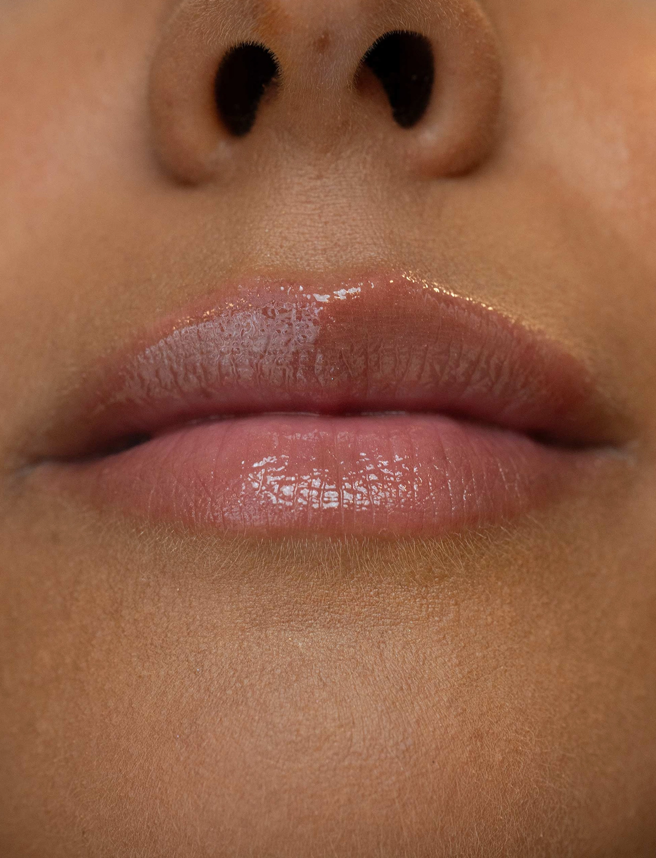 LH Cosmetics - Plush - makeup - cuddle - 2