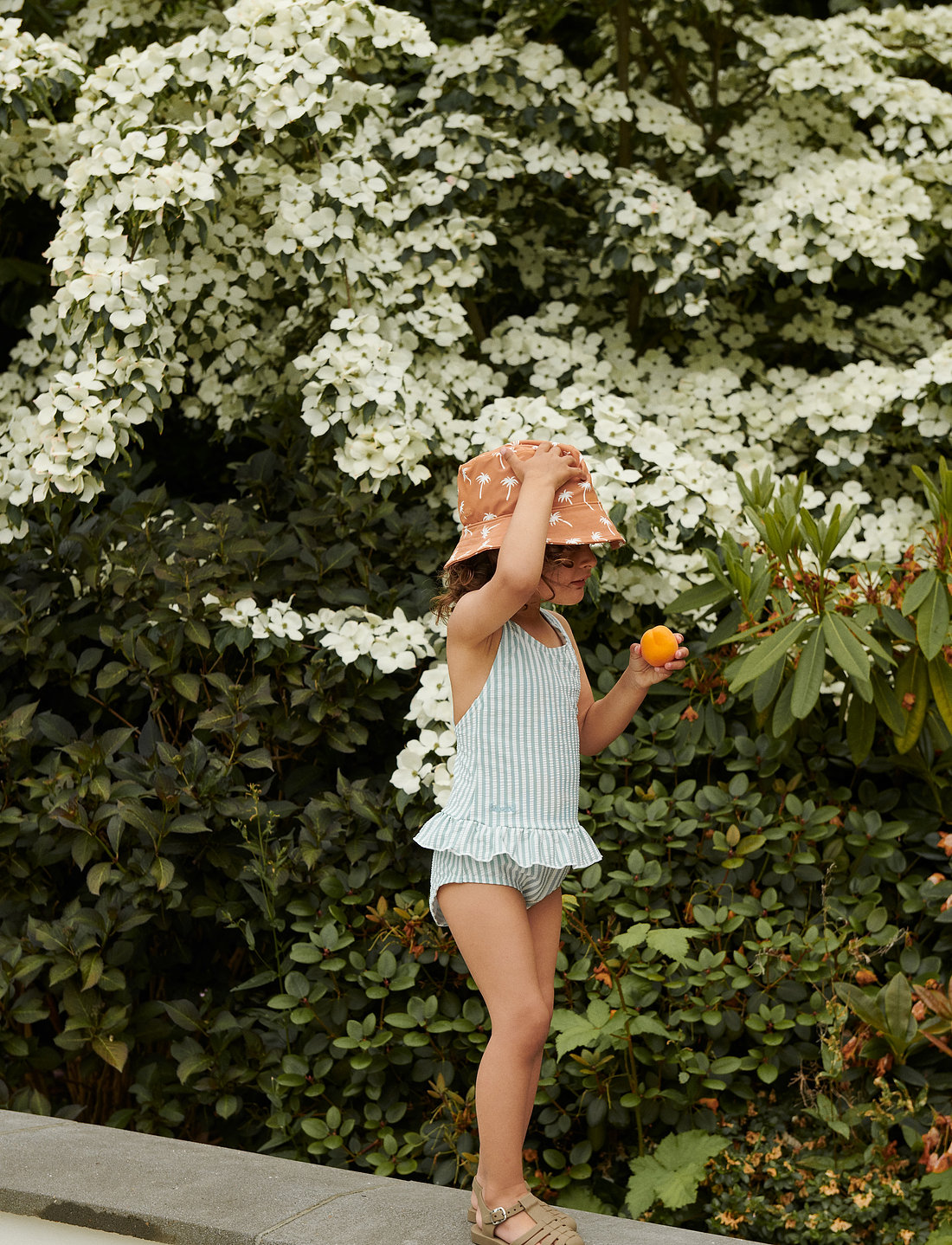 Dress sales barn swimsuits