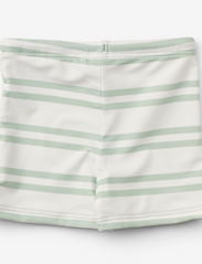 Liewood - Otto swim pants - sommerkupp - stripe: creme de la creme / dusty mint - 1