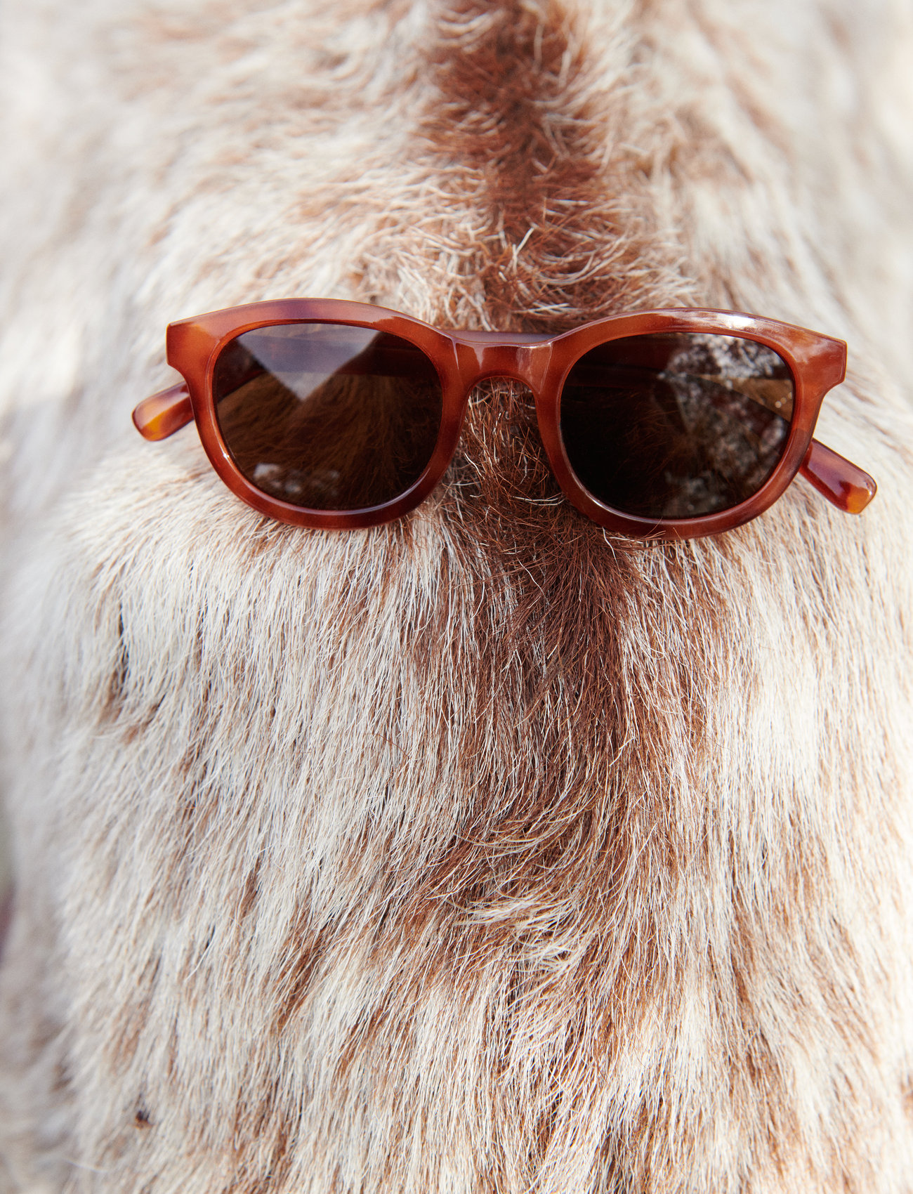 Liewood - Ruben sunglasses - sunglasses - tortoise / shiny 1a - 0