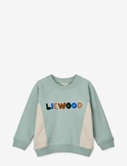 Aude Placement Sweatshirt - ICE BLUE / SANDY