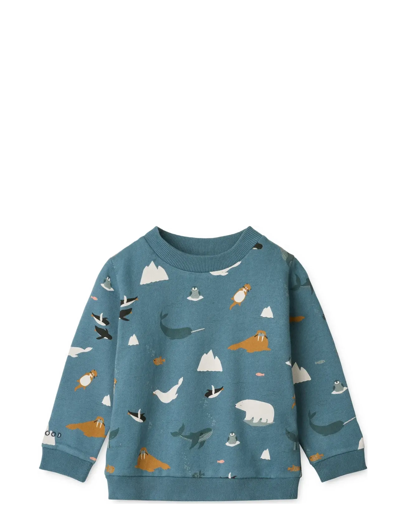 Liewood Thora Printed Sweatshirt, Børn, Printet Sweatshirt, Blå, Str: 50/56