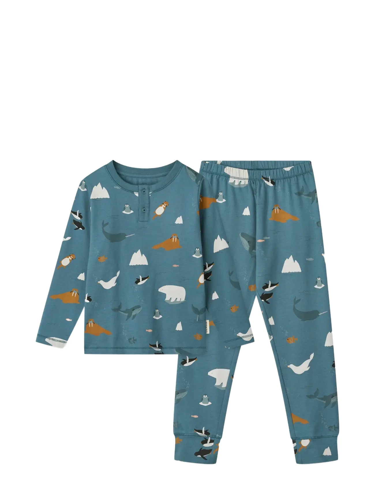 ARCTIC SEA /  OCEAN VIEW