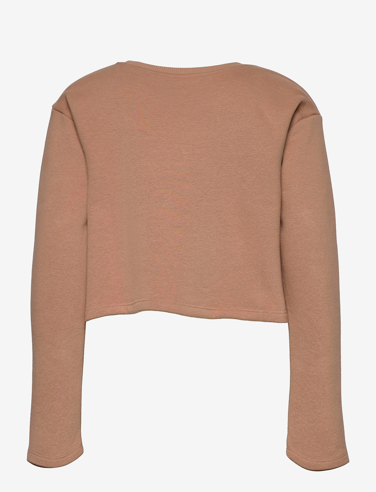 Lil'Atelier - NMFISELMA LS LOOSE SHORT SWEAT EX - roebuck - 1