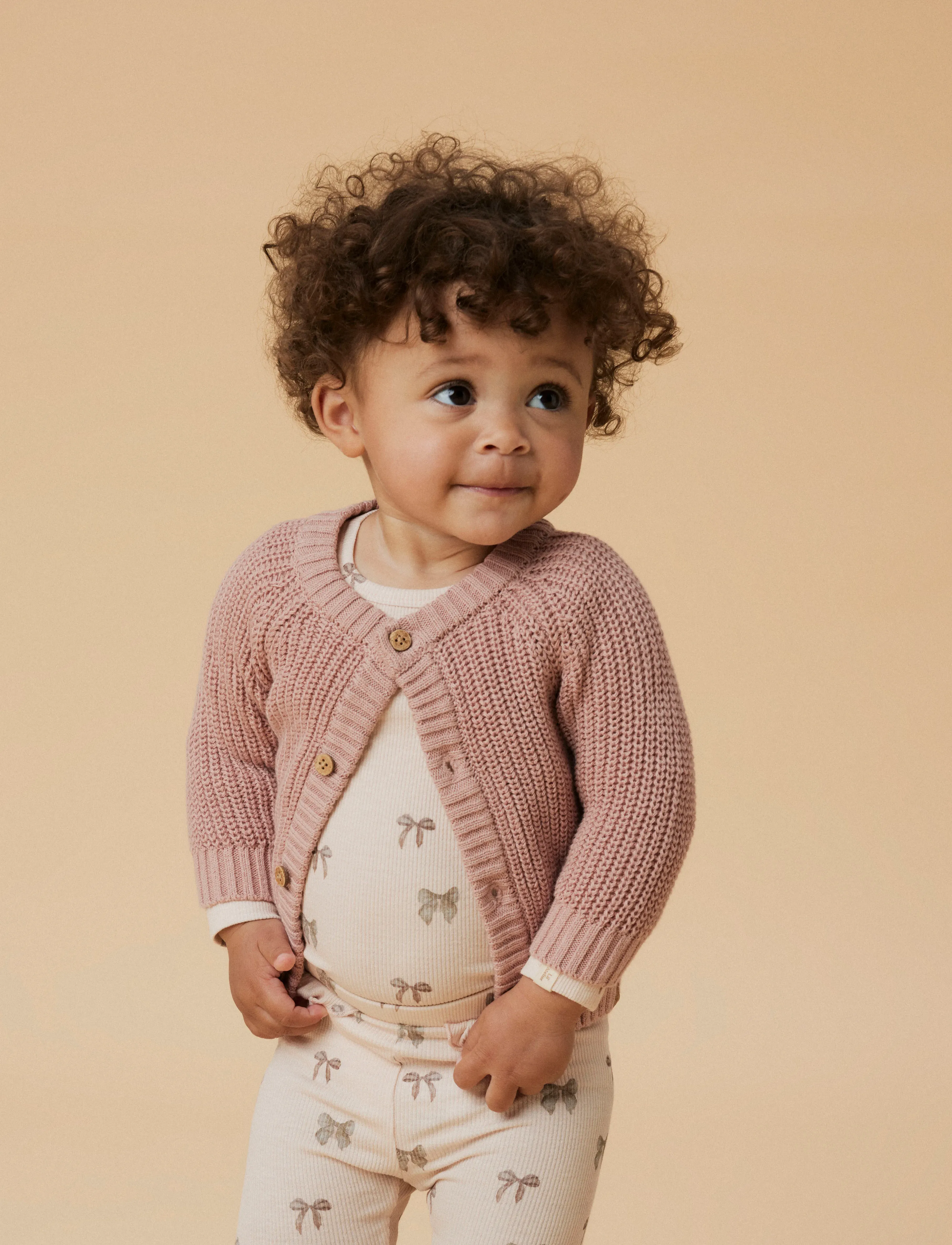 Lil'Atelier NBNEMLEN LS KNIT CARD LIL NOOS - Koftor - MISTY ROSE / pink/rose