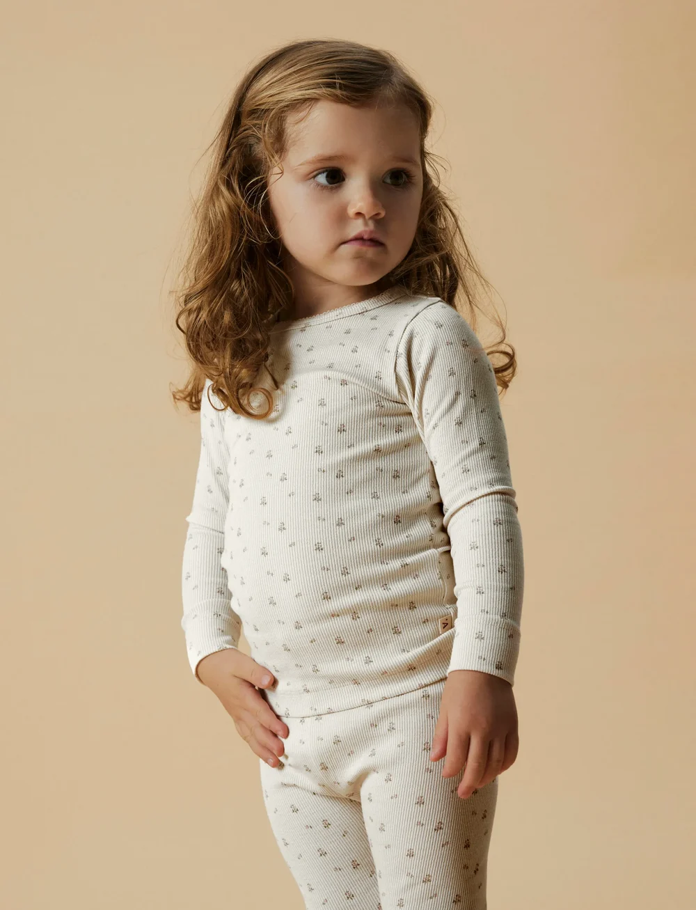 Lil'Atelier - NMFGAGO LS SLIM TOP LIL NOOS - langärmelig - turtledove - 0