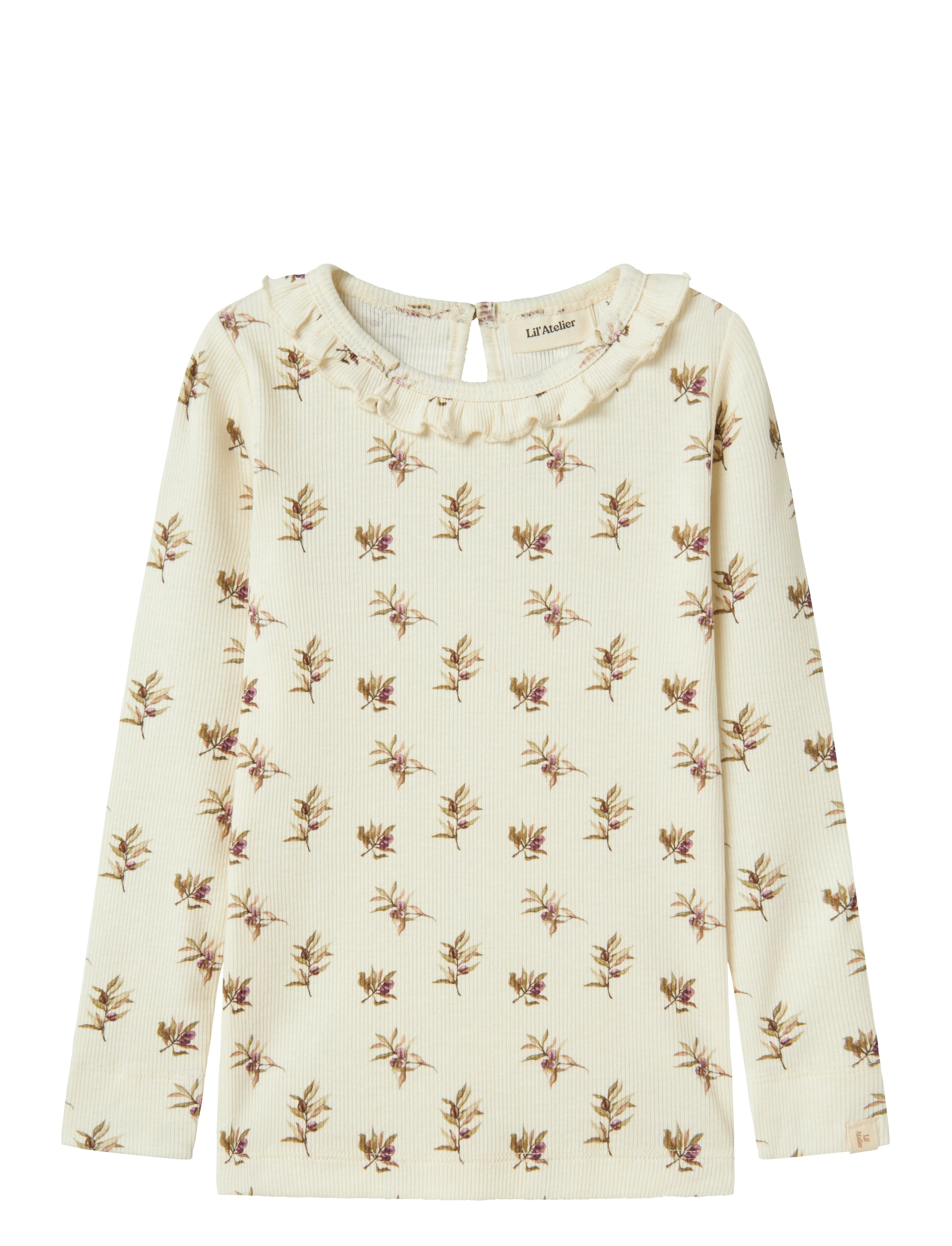 TURTLEDOVE