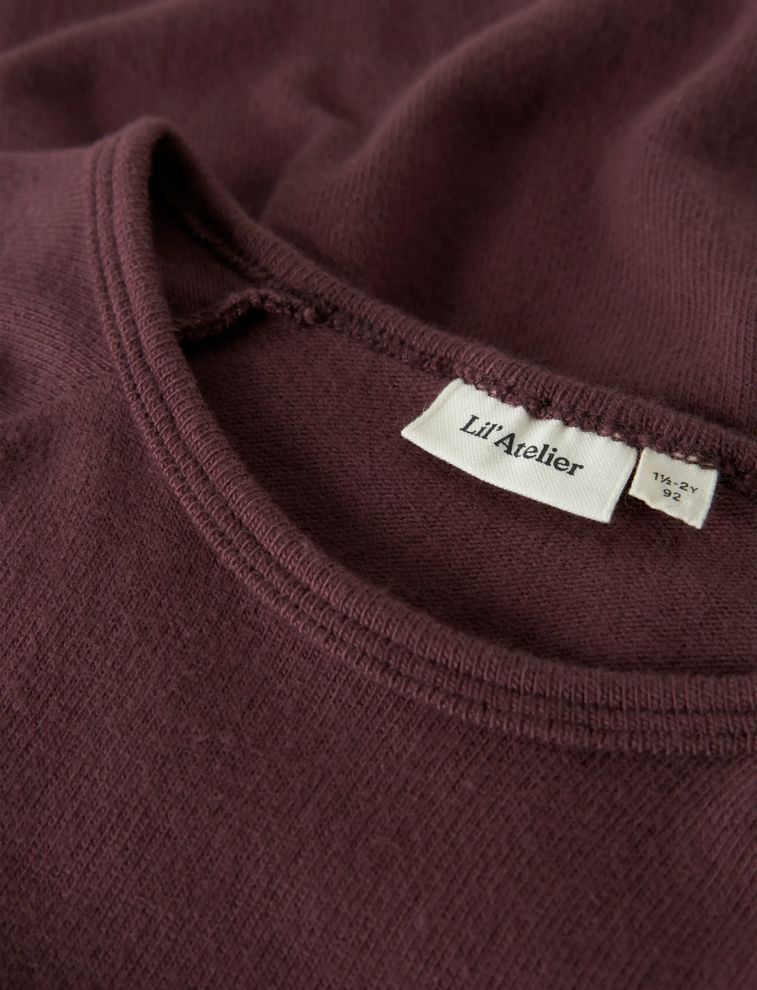 Lil'Atelier - NMFTHORA HYN LS DRESS LIL - langærmede hverdagskjoler - catawba grape - 3