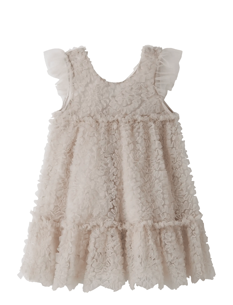 Lil'Atelier - NMFFAUNA CAPSL TULLE DRESS LIL - lühikeste varrukatega beebi kleidid - pumice stone - 0