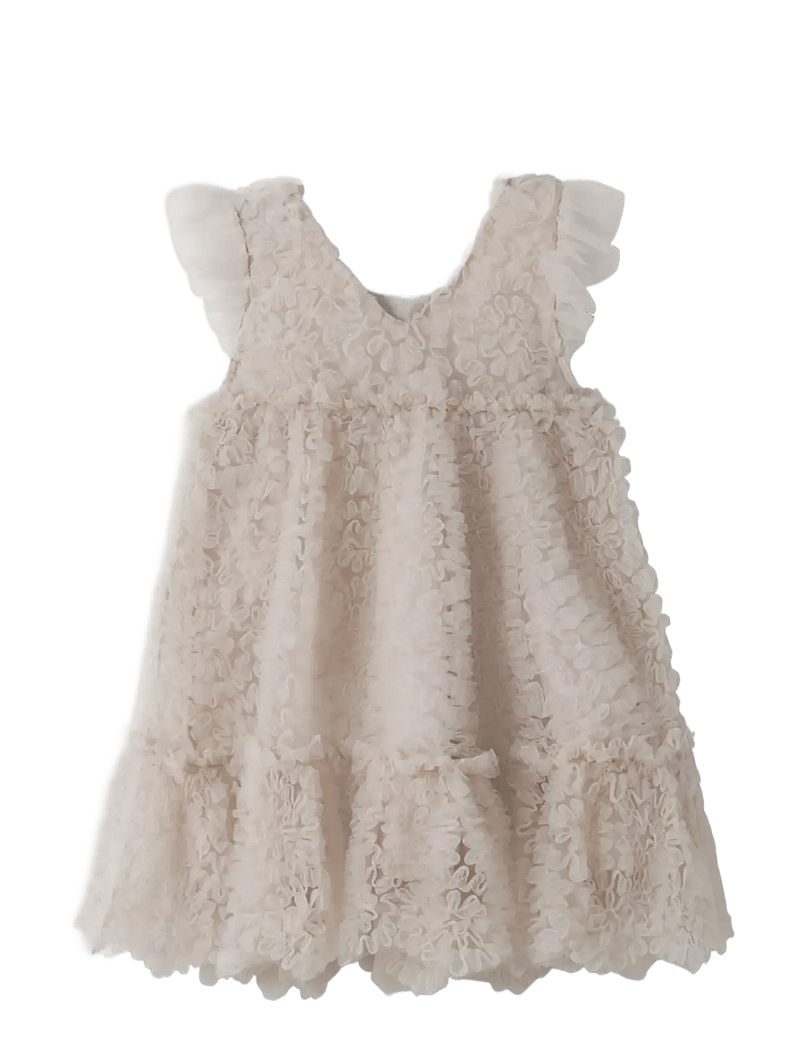 Lil'Atelier - NMFFAUNA CAPSL TULLE DRESS LIL - lühikeste varrukatega beebi kleidid - pumice stone - 1