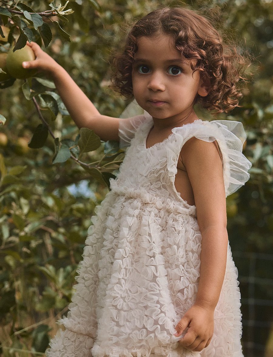 Lil'Atelier - NMFFAUNA CAPSL TULLE DRESS LIL - lühikeste varrukatega beebi kleidid - pumice stone - 3