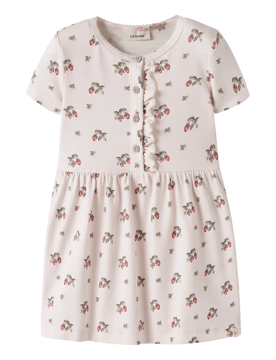 Lil'Atelier - NMFGAYO SMI SS DRESS LIL - babyjurken met korte mouwen - morganite - 1