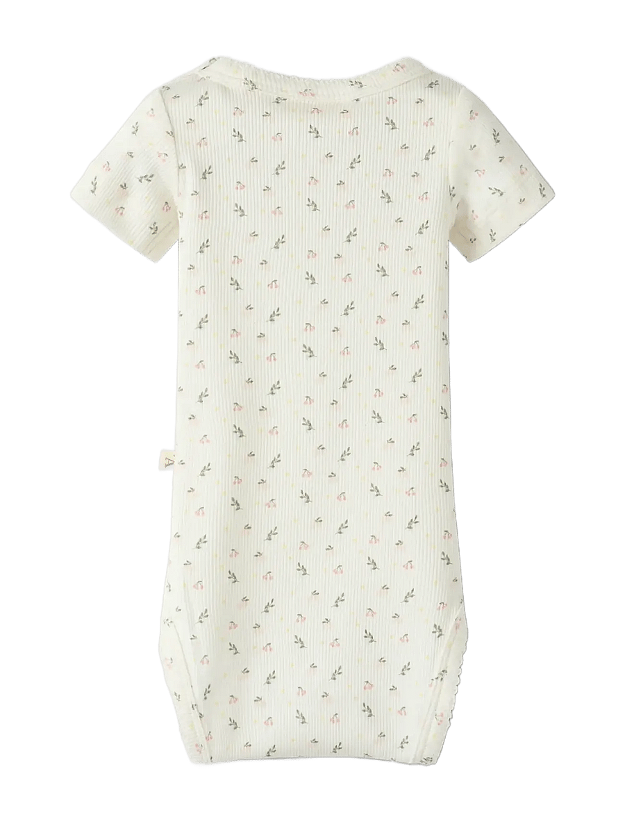 Lil'Atelier - NBFGAGO SS SLIM BODY LIL NOOS - kurzärmelige bodys - coconut milk - 1